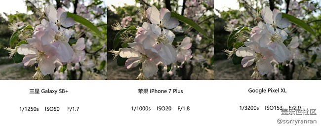 真の登頂！三星S8+|蘋(píng)果7 Plus|Google Pixel XL拍照對(duì)比評(píng)測(cè)