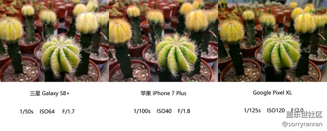 真の登頂！三星S8+|蘋(píng)果7 Plus|Google Pixel XL拍照對(duì)比評(píng)測(cè)