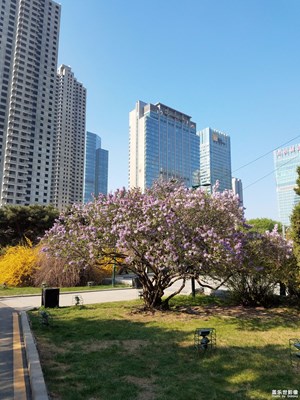 今早