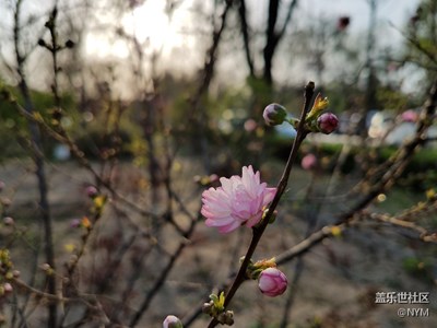 春天花會(huì)開