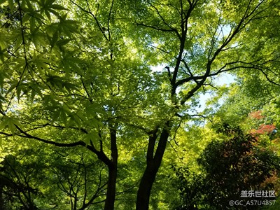 周末帶小朋友出去玩，隨手拍幾張！