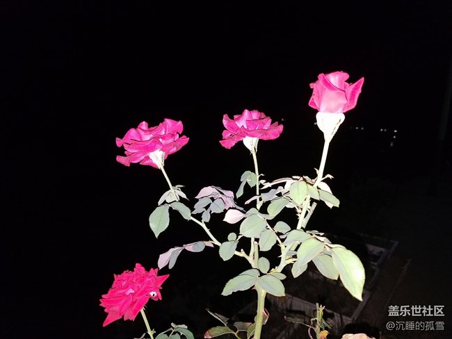 晚上閃光燈拍下的效果