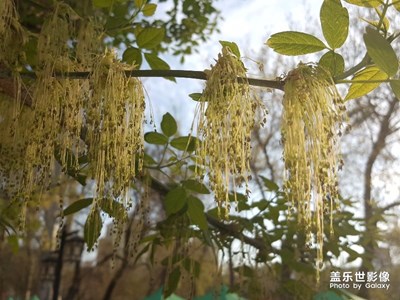 一路旅行一路曬+烏魯木齊+烏魯木齊的春天