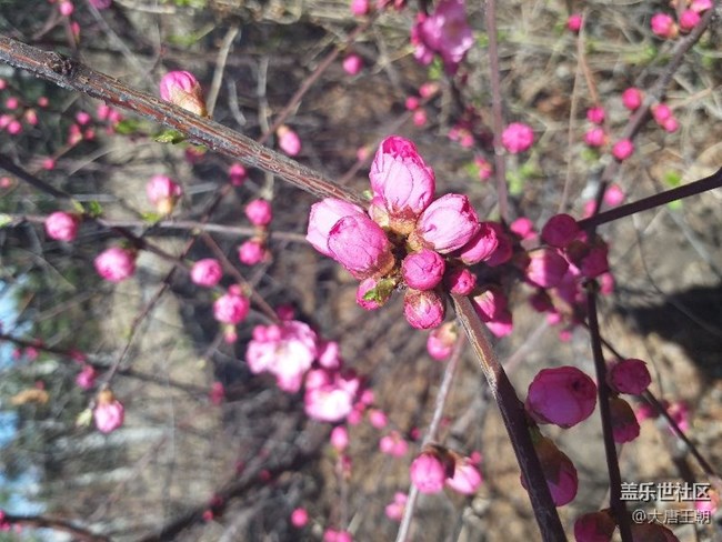 過五一拍張照片