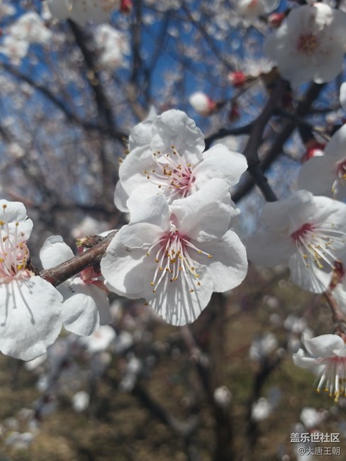 過五一拍張照片