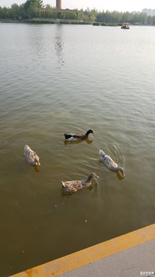 一路旅行一路曬