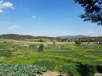 隨拍