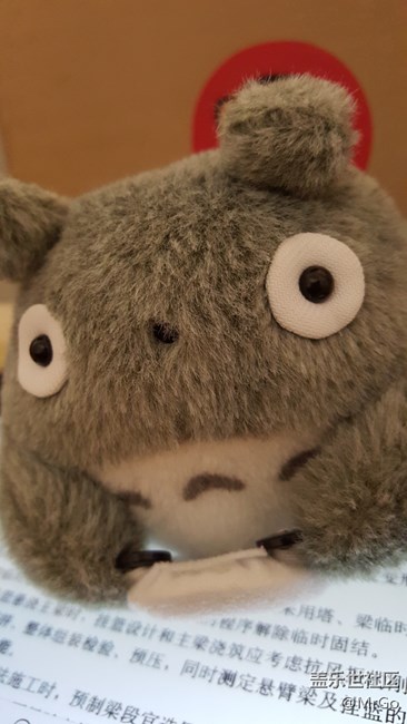 祈禱一切正常，不要再出事情啦。