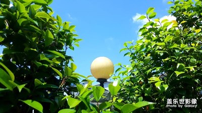 Note5拍照還是不落后的