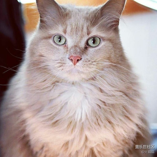 近日note5的溫度很高，大家是這樣子嗎？