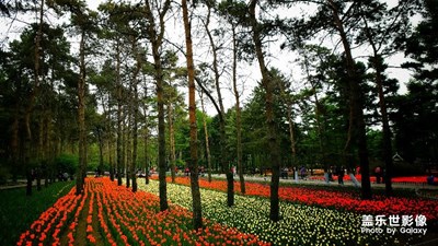 以人民的名義-------贊！