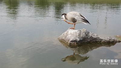 無題，