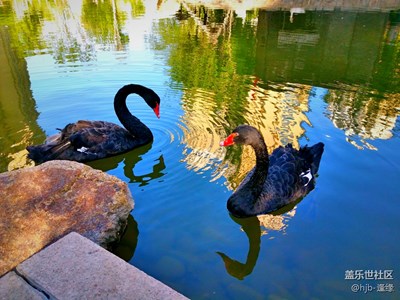 愛(ài)的季節(jié)