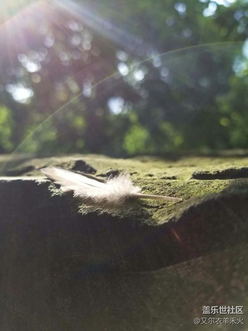 重慶辦3小區(qū)——銷(xiāo)售案例分享