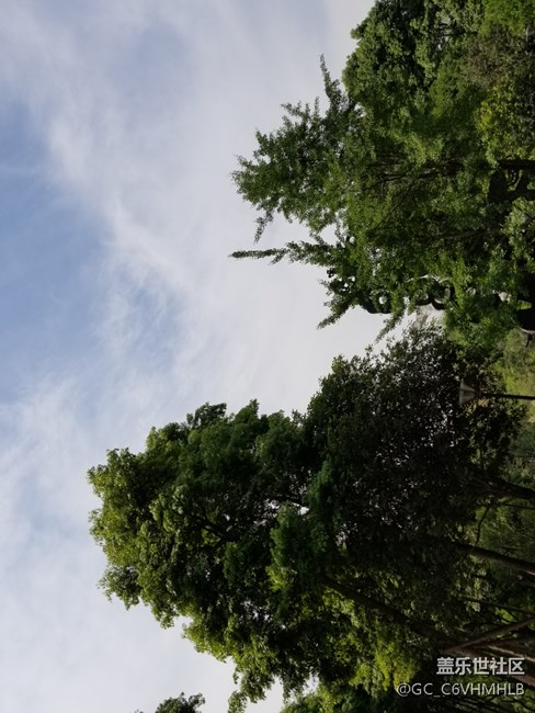 GalaxyS8|S8+機(jī)皇降臨，簡單可靠，更勝一籌