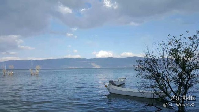 D~L:帶上你的S8，我在大理等你！