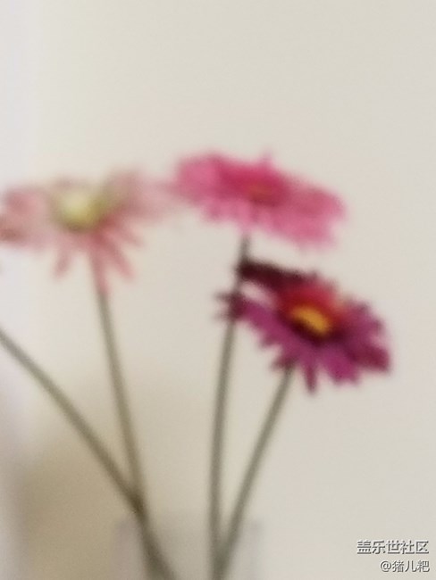 運氣真好，不知道是不是全國第一臺。。。