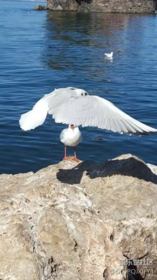 無意中翻出s6拍的照片