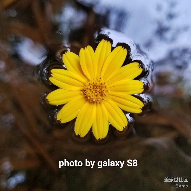 三星S8為愛奔跑-廣州辦中山聯(lián)絡(luò)處-中山一隊