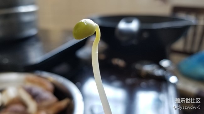 隨手拍幾張，看看手機(jī)端反應(yīng)如何？