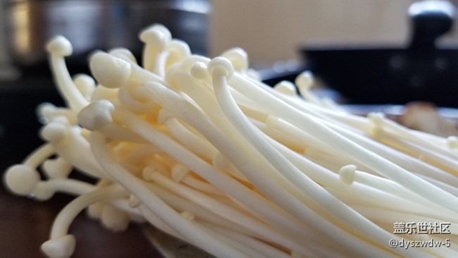 隨手拍幾張，看看手機(jī)端反應(yīng)如何？