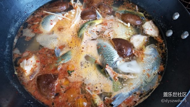 隨手拍幾張，看看手機(jī)端反應(yīng)如何？