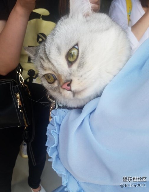 【端午自駕游】大洋山之旅，跟著漫哥爬山看海吃海鮮！