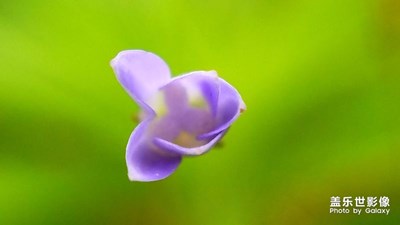 簡(jiǎn)單