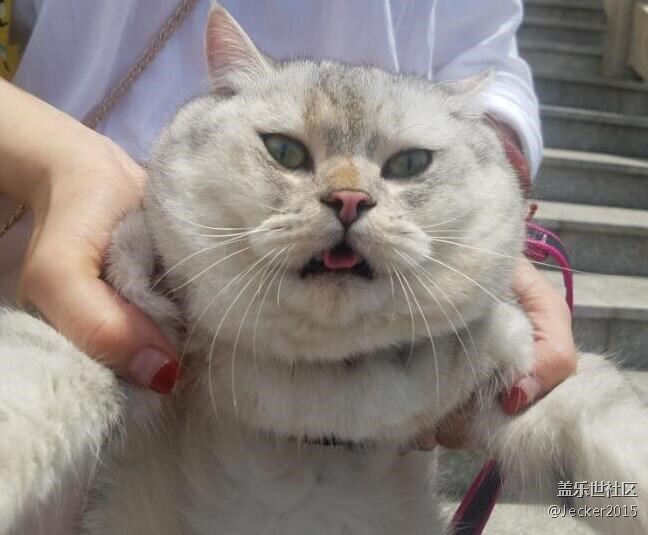 【端午自駕游】大洋山之旅，跟著漫哥爬山看海吃海鮮！