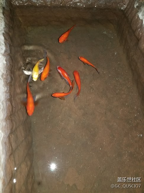小8入手十天了，贈品今天也已經(jīng)領(lǐng)到了
