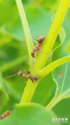 公園之行