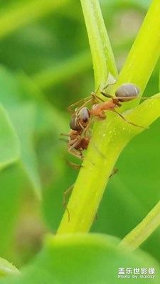 公園之行