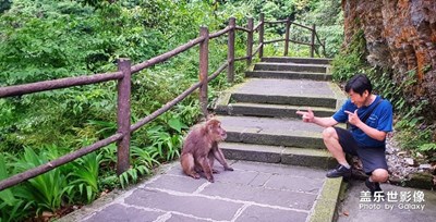 《清涼一夏》+峨眉山+我的地盤最清涼。