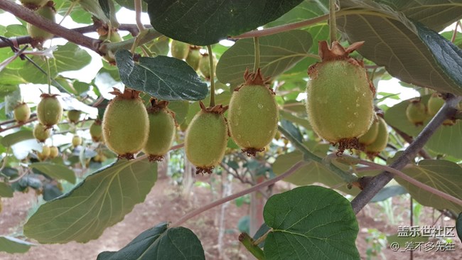 上一組高清美圖