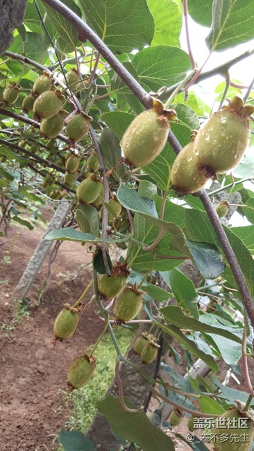 上一組高清美圖