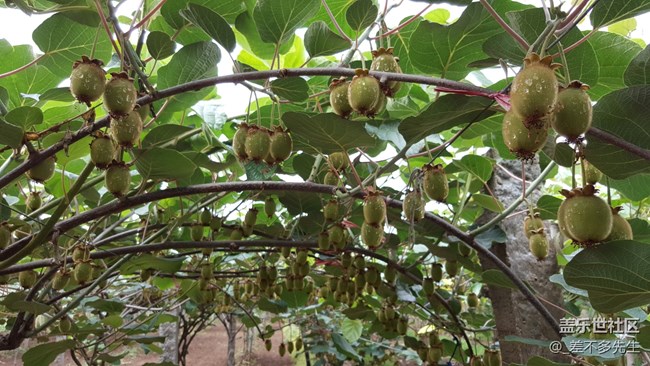 上一組高清美圖