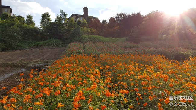 牛5拍照對(duì)比