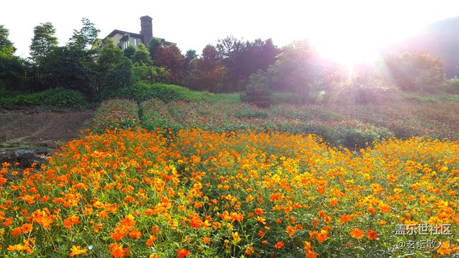 牛5拍照對(duì)比