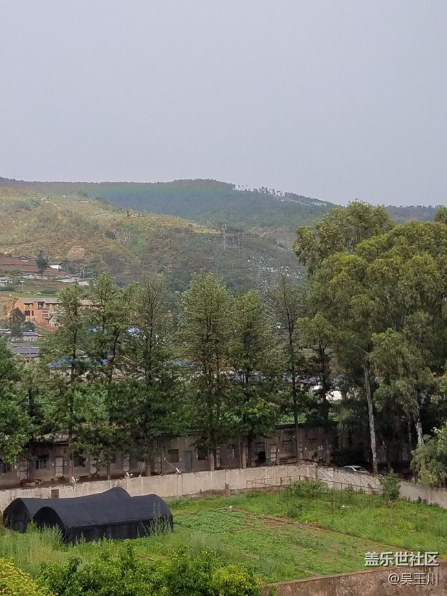 這個(gè)相機(jī)是不是出問題了，感覺遠(yuǎn)方的樹放大變得好模糊