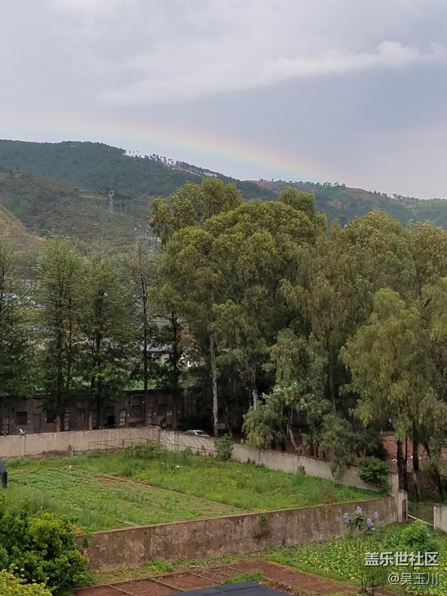 這個(gè)相機(jī)是不是出問題了，感覺遠(yuǎn)方的樹放大變得好模糊