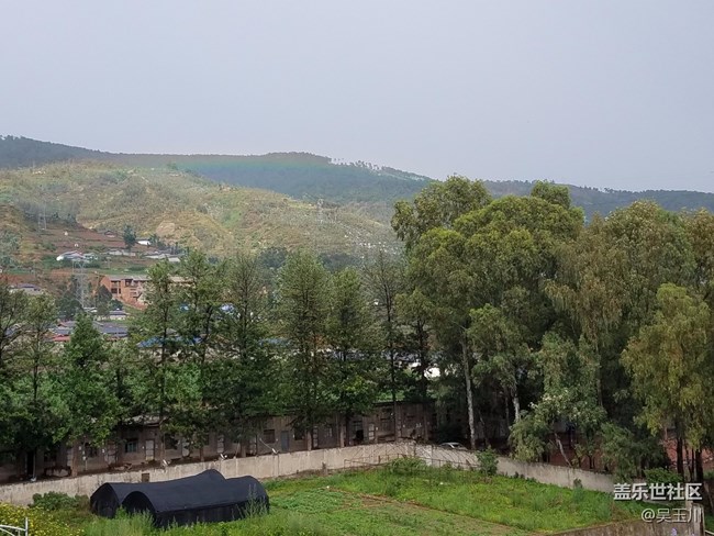 這個(gè)相機(jī)是不是出問題了，感覺遠(yuǎn)方的樹放大變得好模糊