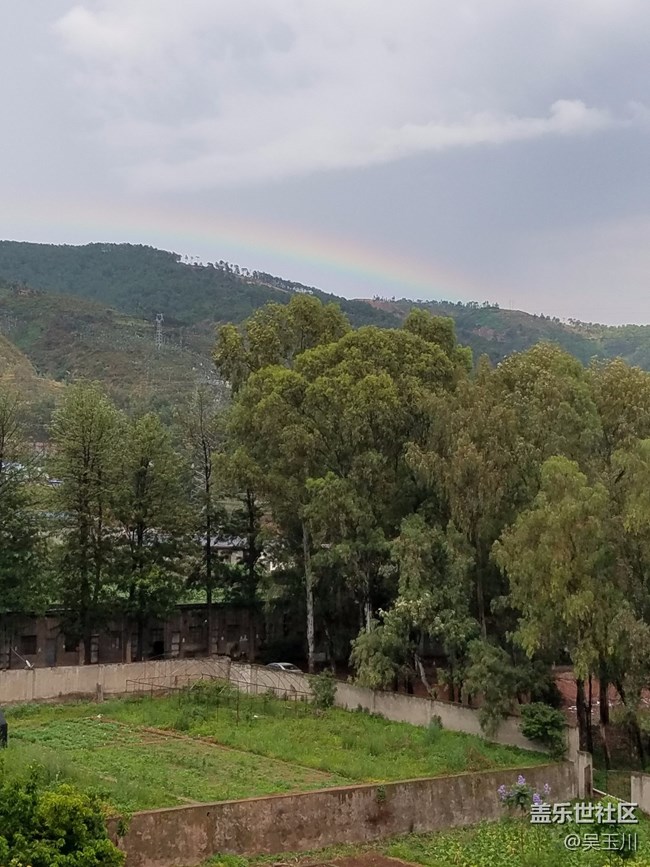 這個(gè)相機(jī)是不是出問題了，感覺遠(yuǎn)方的樹放大變得好模糊