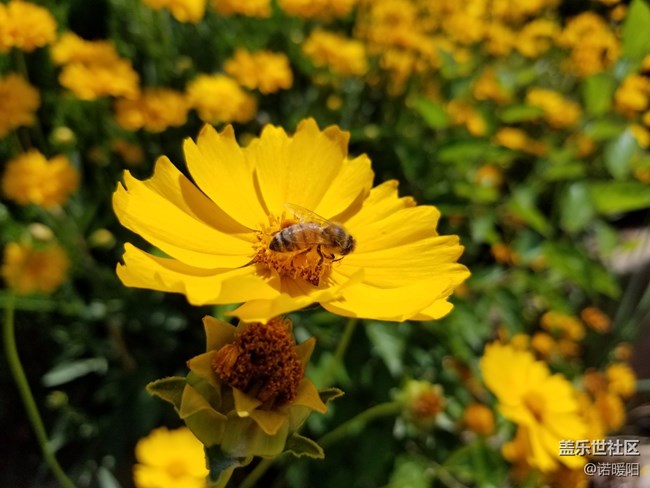 設(shè)計(jì)優(yōu)良拍照出色，國(guó)行版三星Galaxy S8評(píng)測(cè)