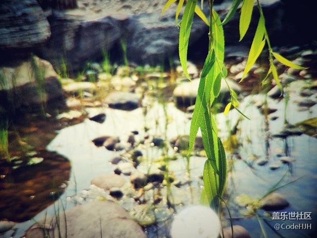 用S7 edge記錄下的美景（逆光景致）