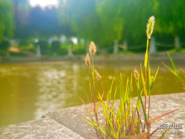 用S7 edge記錄下的美景（逆光景致）