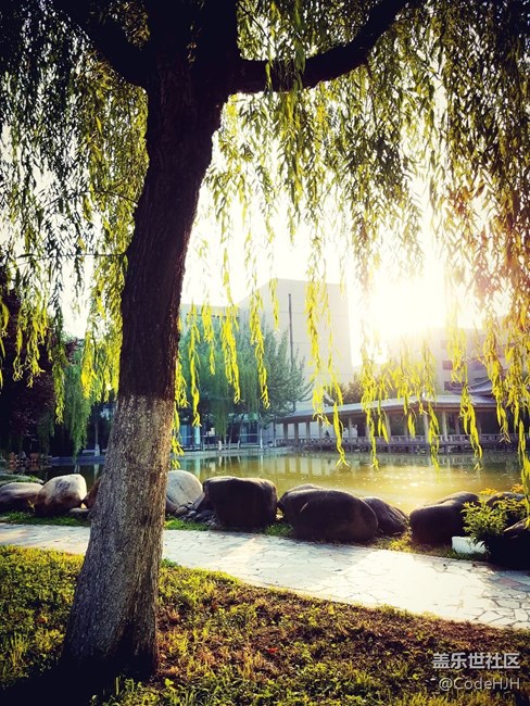 用S7 edge記錄下的美景（逆光景致）