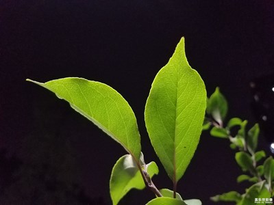 <初夏風(fēng)情畫> + 十堰