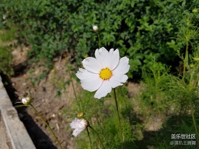 這或是下半年最具競爭力的手機，從Galaxy S8看三星進化論