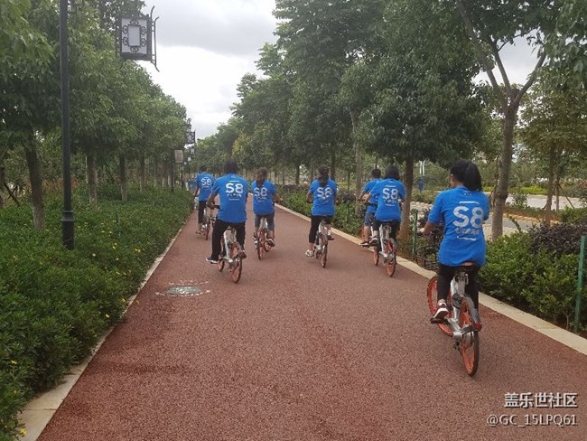 一起奔跑8,保山團(tuán)隊活動