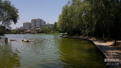 豐慶公園隨拍